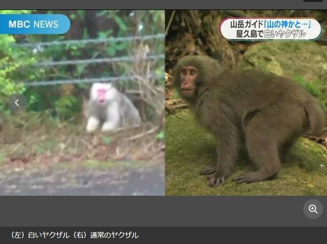 キャプチャ