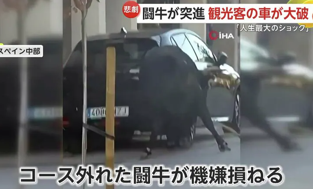 スクリーンショット 2025-07-27 173013