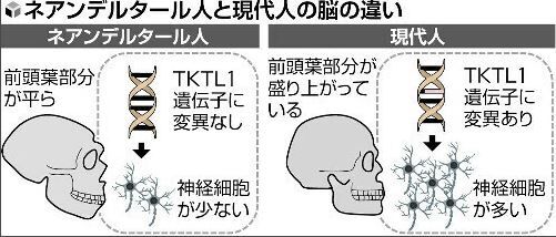 キャプチャ