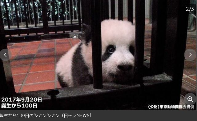 キャプチャ0