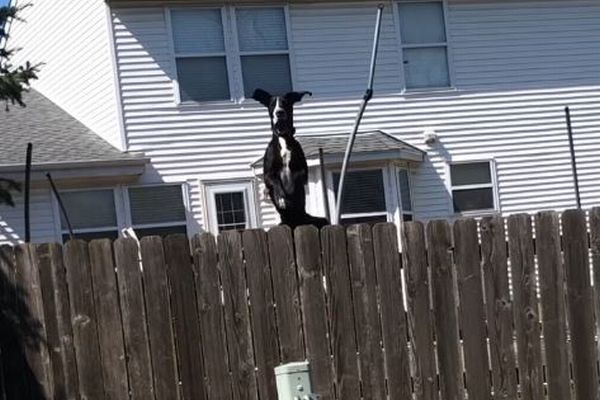 FacebookRena Nicole2