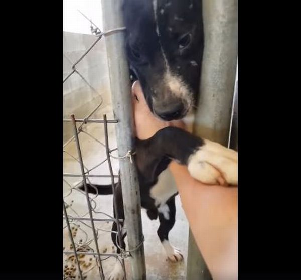 FacebookDesiray Miracle-Wilder