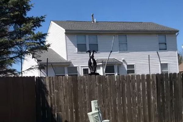 FacebookRena Nicole3