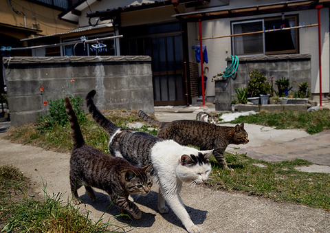 pYleFrsZDlpz2f9yHFUCvkUXo1_500