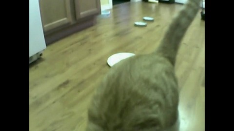 1f536a8d97bd3e77bced8674b8704885