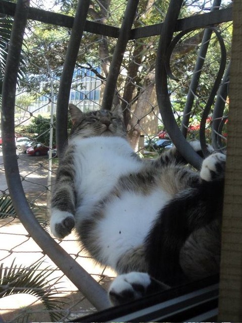 tumblr_mbbz36nNQO1qh66wqo1_500