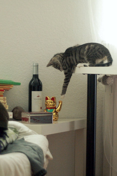 tumblr_lr0m2fF93s1qzty50o1_500