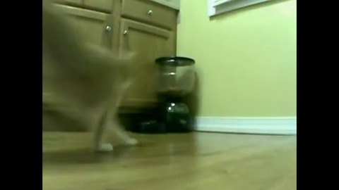 4a2703fd5015d6ad82fd6ed8c0a317df