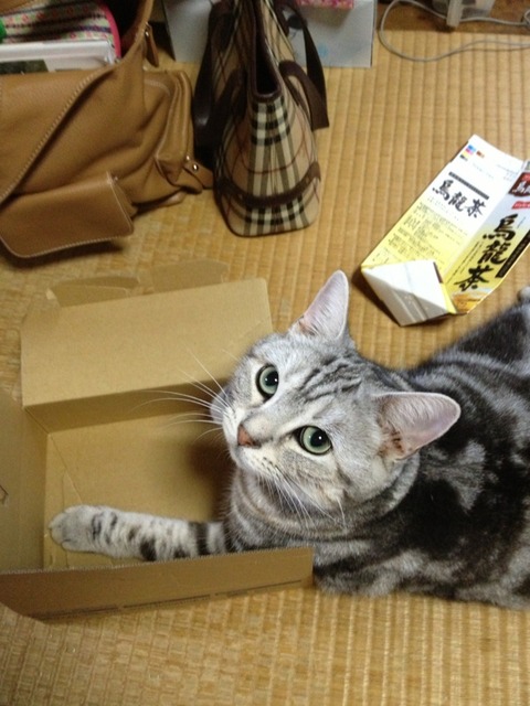mewmnCm