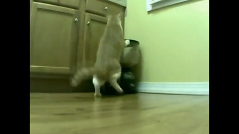 c6669ebaa48a74dce8dcfb70b265a46f