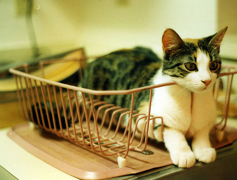 tumblr_lkiezfGr0B1qagbjfo1_500