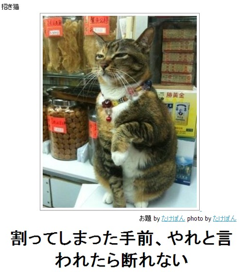 tumblr_mcg2jeJZK21qzforlo1_500