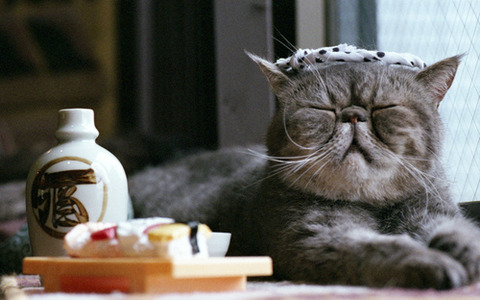 tumblr_mg0sqdMR3m1rq4uvro1_500