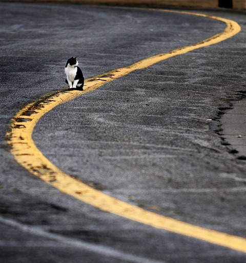 Z20130126GZ0JPG000230001000