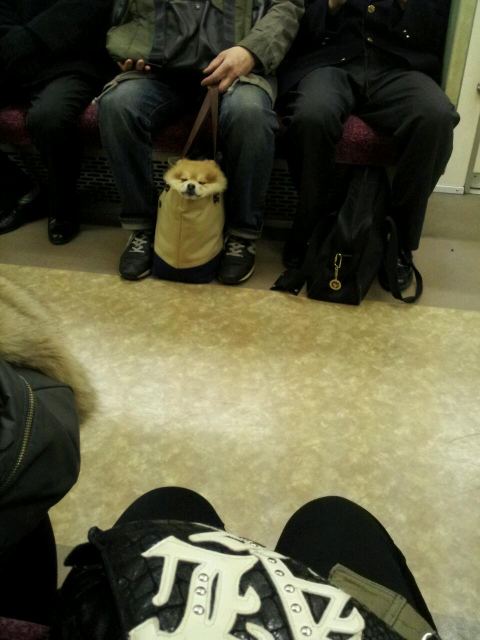 tumblr_lzoybaBqTq1qzj7lyo1_500