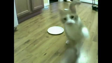 2dbe2b45a2de0be229b7dde517237caf