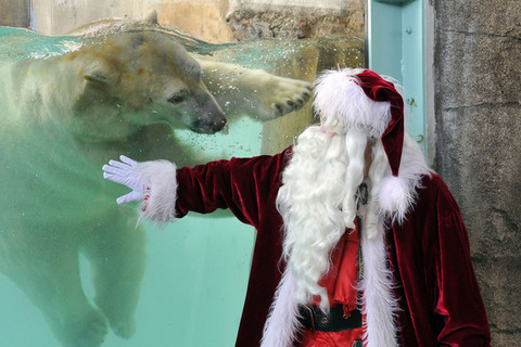 enhanced-buzz-2610-1355609376-5