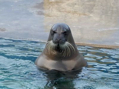 tumblr_m815hwyjAM1qb77xco1_400