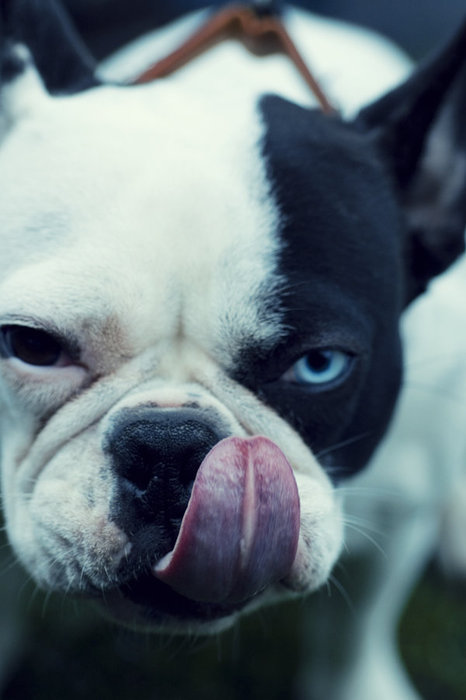 tumblr_ku79msYlsN1qzkdy9o1_500