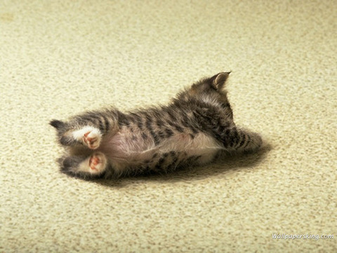 iLqCN8j5shrfjiaoDseGJnNOo1_500