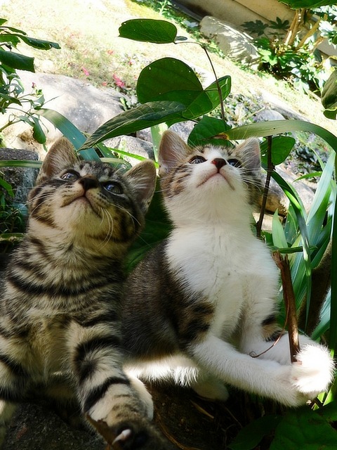 7LvnDFHHnfxi4w3yHSEt4Znfo1_500