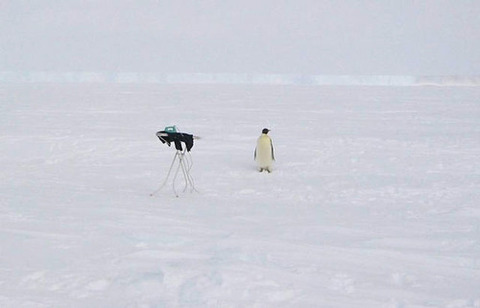 tumblr_kwy88vuksJ1qz6pcco1_500