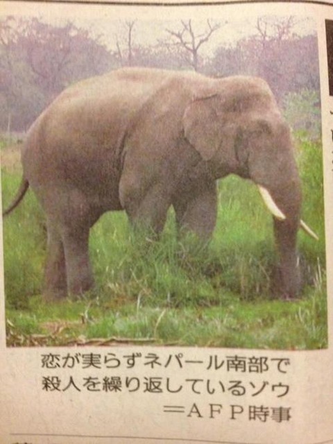 tumblr_mfdp05ixEe1rp93cjo1_500