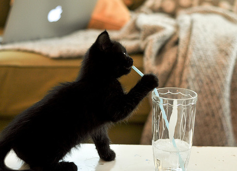 tumblr_ll4c3gkZUP1qzjm43o1_500