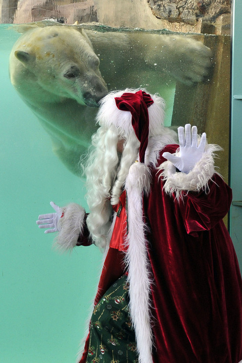 enhanced-buzz-4284-1355609406-3