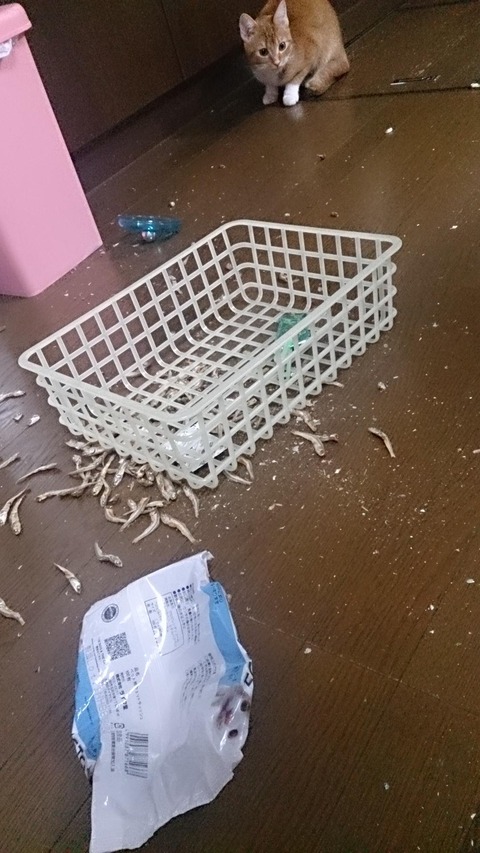 TCzYbKj