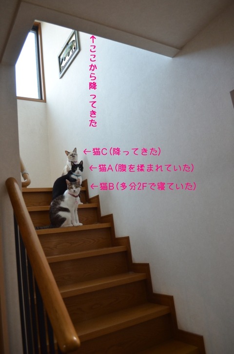 90612