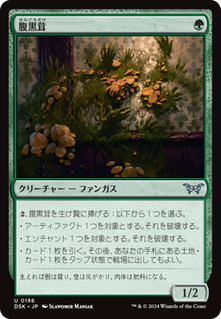 cardimage (26)