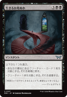 cardimage (16)