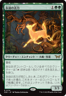 cardimage (24)
