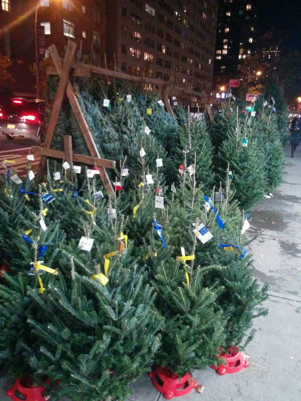 アメリカのクリスマスツリー 役目を終えたその後は あきちゃん家のニューヨーク生活