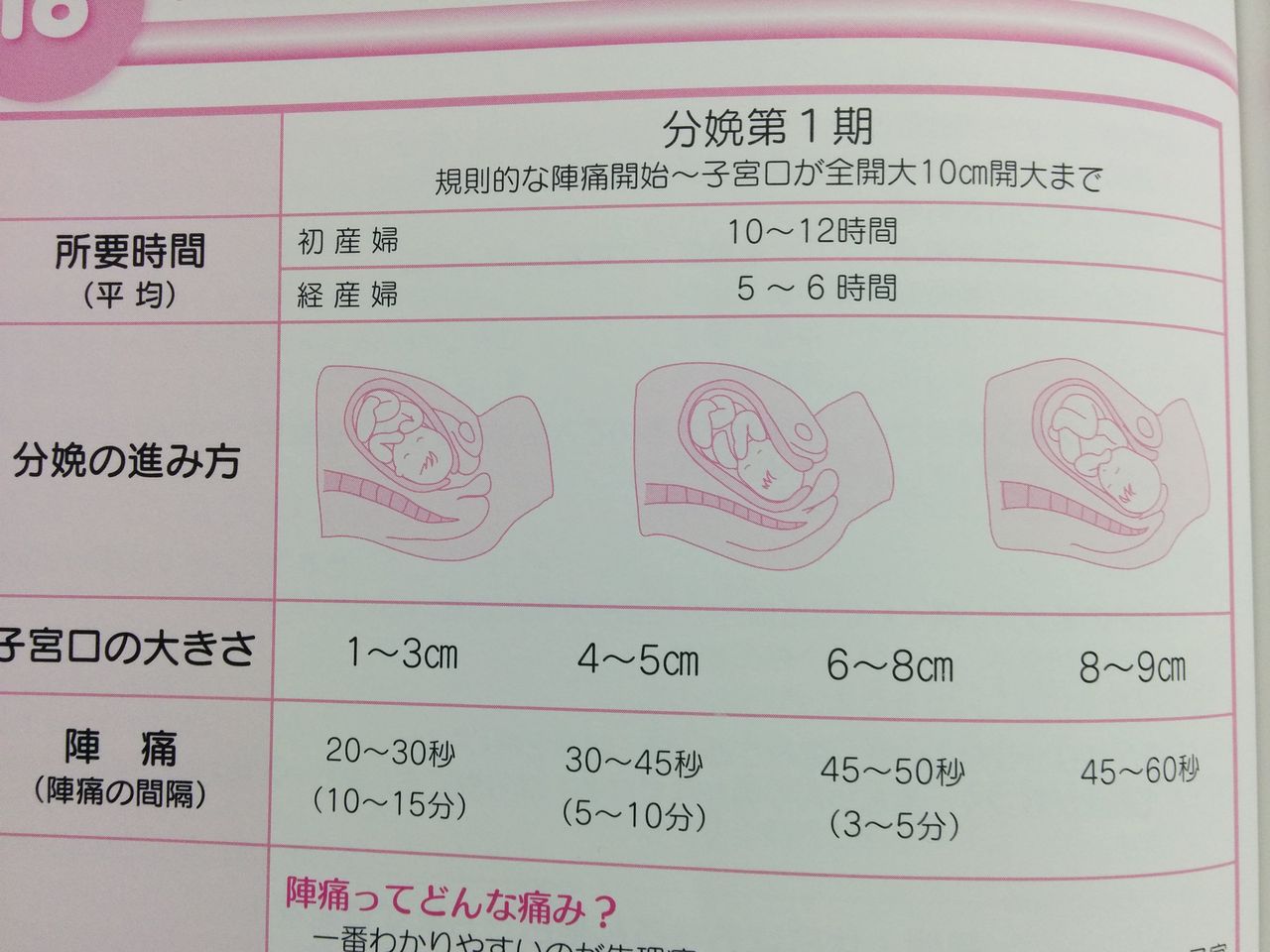 母親学級に参加して思うこと あきちゃん家のニューヨーク生活 母親学級に参加して思うこと あきちゃん家のニューヨーク生活