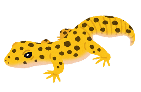 animal_hyoumon_tokagemodoki