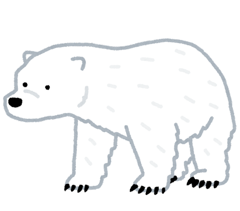 animal_bear_hokkyoku (1)