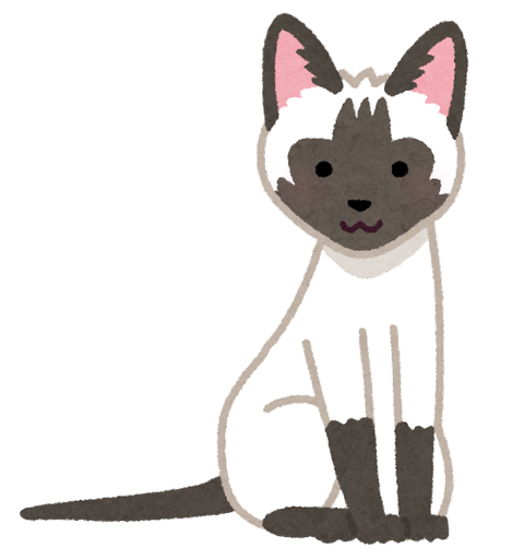 cat_syamu_siamese