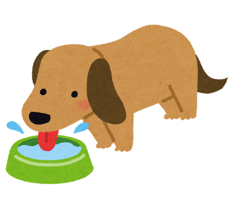 dog_pet_water