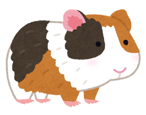 animal_marmot_mike