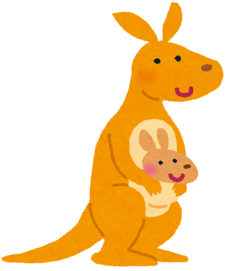 animal_kangaroo