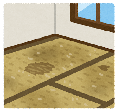 room_yuka_tatami_old