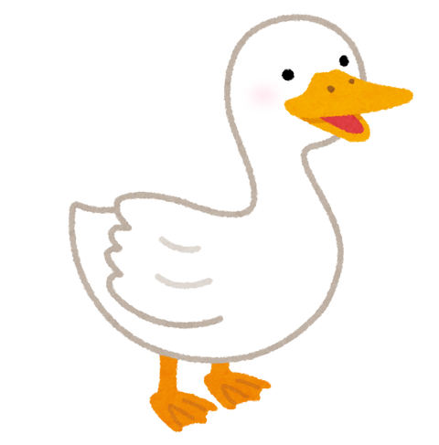 bird_duck_ahiru
