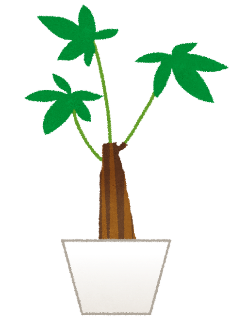 plant_pakira