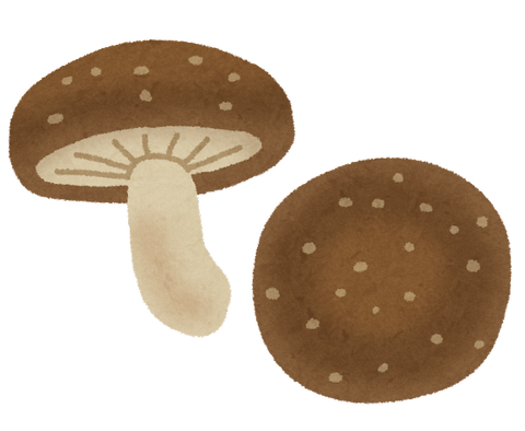kinoko_shiitake