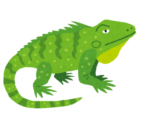 animal_iguana_green