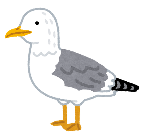 bird_kamome