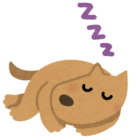 sleep_animal_dog