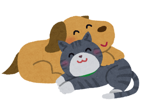 dog_cat_nakayoshi